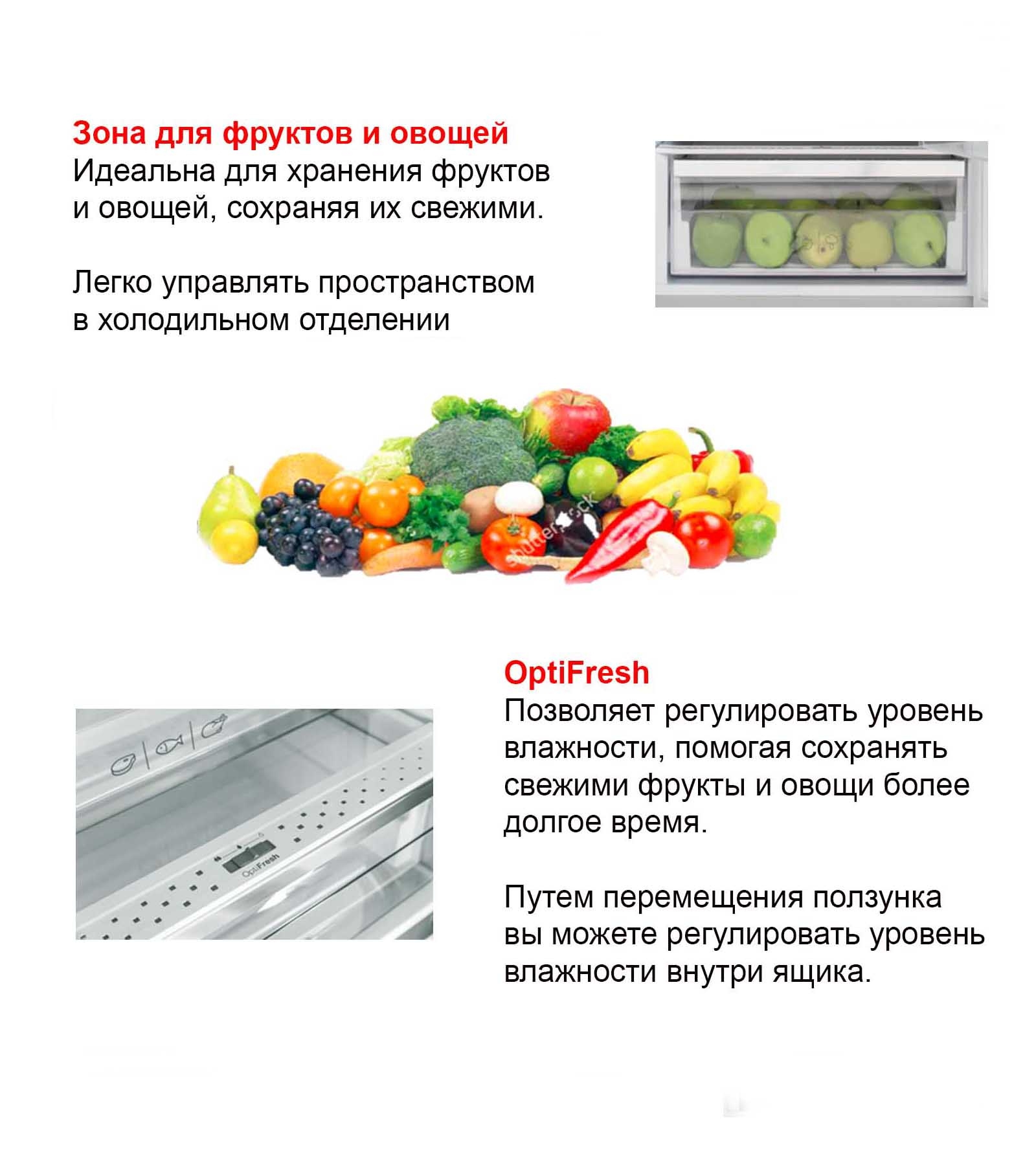 ����������� Vestfrost VF 373 ED ������ �����